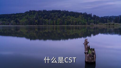 什么是CST