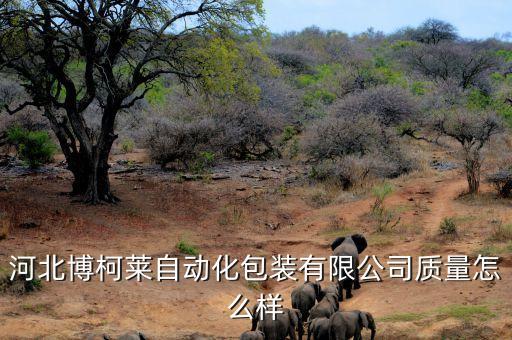 河北博柯萊自動(dòng)化包裝有限公司質(zhì)量怎么樣