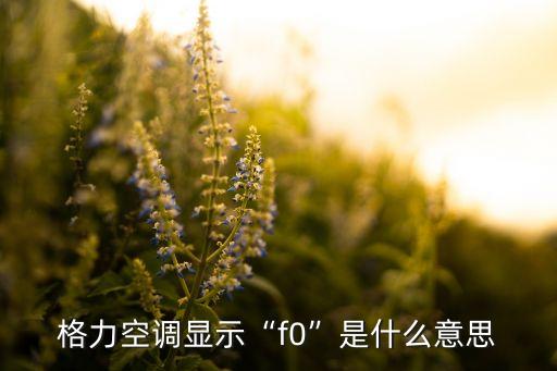 格力空調(diào)顯示“f0”是什么意思