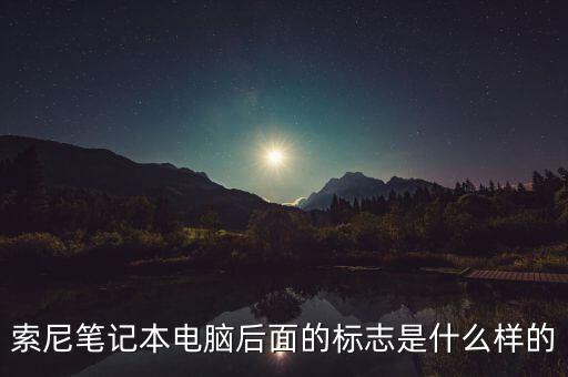 索尼筆記本電腦后面的標志是什么樣的