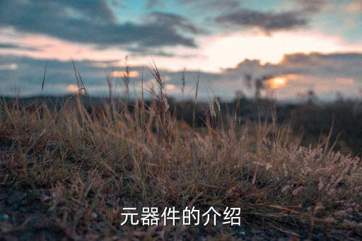 元器件的介紹