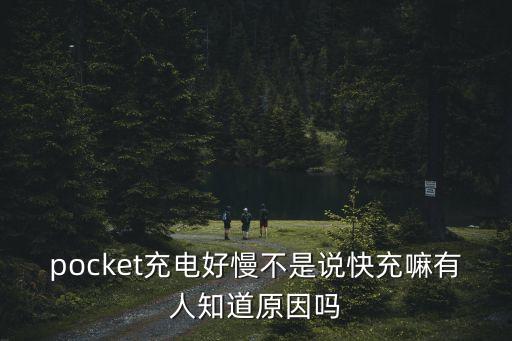 pocket充電好慢不是說快充嘛有人知道原因嗎