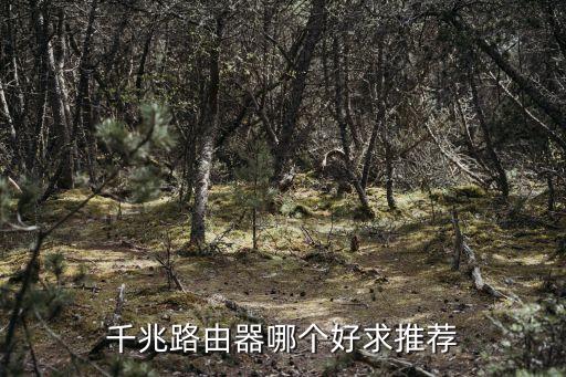 蘇州兆耀自動化有限公司,廣州佳兆業(yè)開發(fā)商是哪家公司?