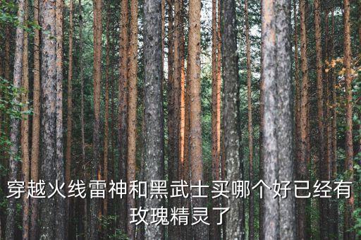 穿越火線雷神和黑武士買哪個(gè)好已經(jīng)有玫瑰精靈了