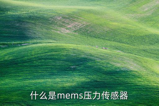 微型壓力傳感器，請(qǐng)問有沒有一種薄片式的壓力傳感器啊