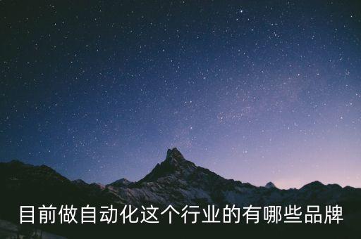 目前做自動(dòng)化這個(gè)行業(yè)的有哪些品牌