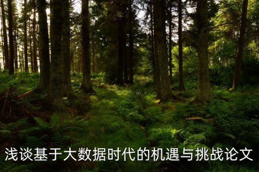 淺談基于大數(shù)據(jù)時(shí)代的機(jī)遇與挑戰(zhàn)論文