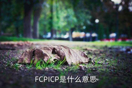 FCP，管碼中FCPFCLFSA各代表什么意思