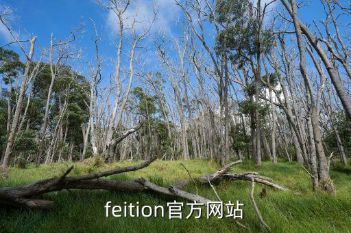 feition官方網(wǎng)站