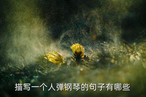 描寫一個(gè)人彈鋼琴的句子有哪些