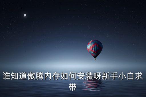 誰(shuí)知道傲騰內(nèi)存如何安裝呀新手小白求帶