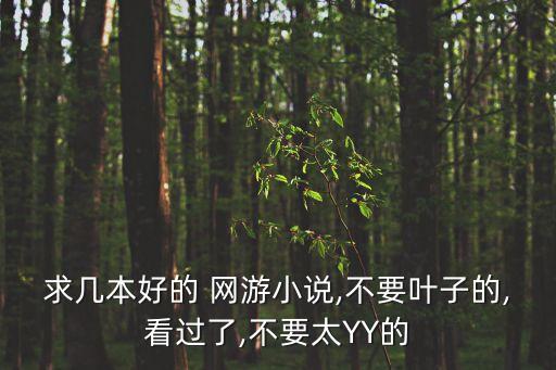 網(wǎng)游星空,游民星空暗黑4bd模擬器