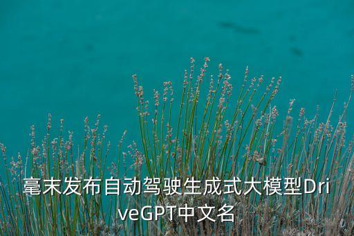 雪湖,雪中過高郵湖古詩句大全