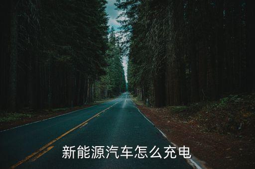 新能源汽車怎么充電