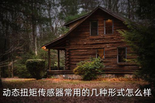 動態(tài)扭矩傳感器，動態(tài)扭矩傳感器常用的幾種形式怎么樣