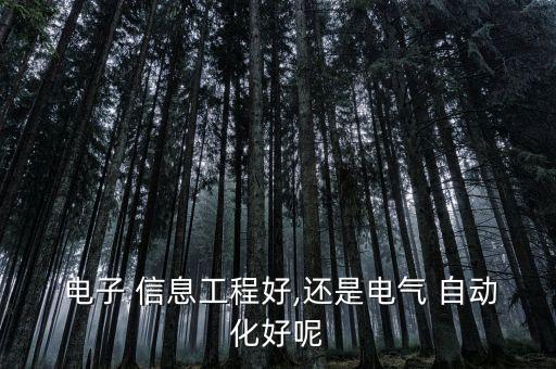  電子 信息工程好,還是電氣 自動化好呢