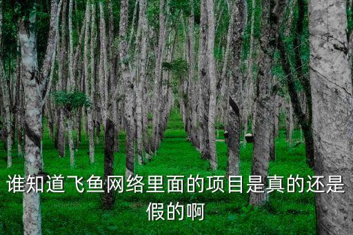 誰(shuí)知道飛魚網(wǎng)絡(luò)里面的項(xiàng)目是真的還是假的啊