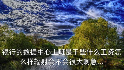 銀行的數(shù)據(jù)中心上班是干些什么工資怎么樣輻射會不會很大啊急...