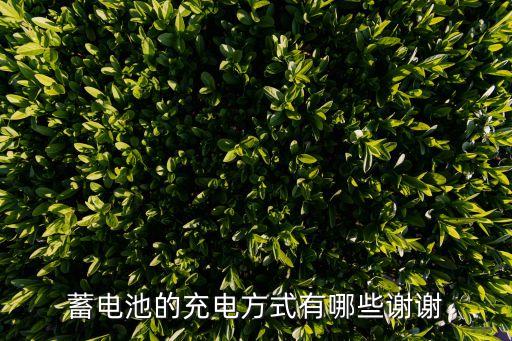 蓄電池的充電方式有哪些謝謝