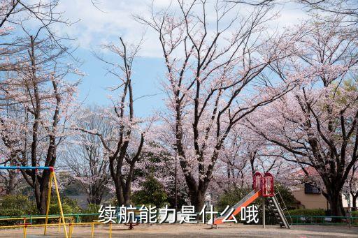 續(xù)航能力是什么哦
