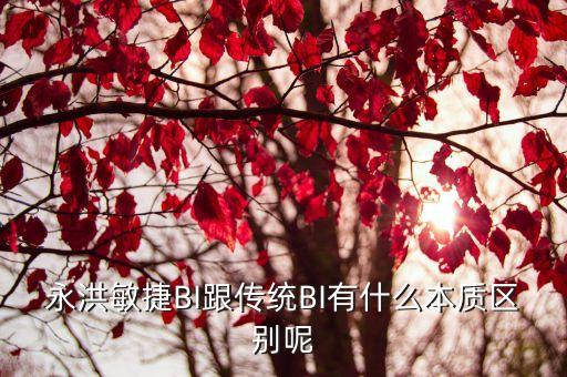 永洪bi，用永洪bi來做報表快嗎