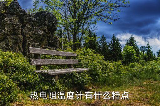 熱電阻溫度計有什么特點