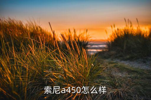 索尼a450怎么樣