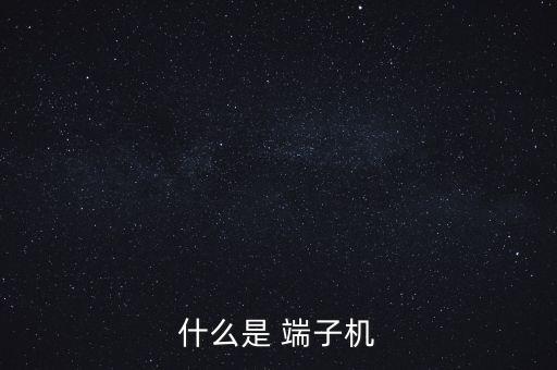 什么是 端子機