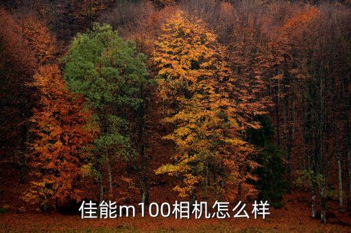 佳能m100相機怎么樣