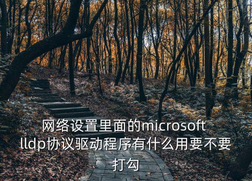 網(wǎng)絡(luò)設(shè)置里面的microsoft lldp協(xié)議驅(qū)動程序有什么用要不要打勾