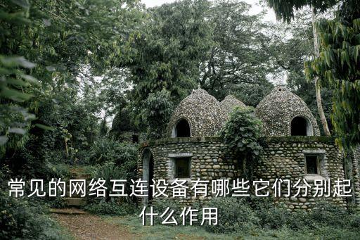 網(wǎng)絡(luò)互聯(lián)設(shè)備，常見的網(wǎng)絡(luò)互連設(shè)備有哪些它們分別起什么作用