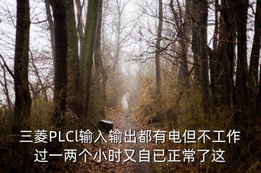 三菱PLCl輸入輸出都有電但不工作過一兩個(gè)小時(shí)又自已正常了這
