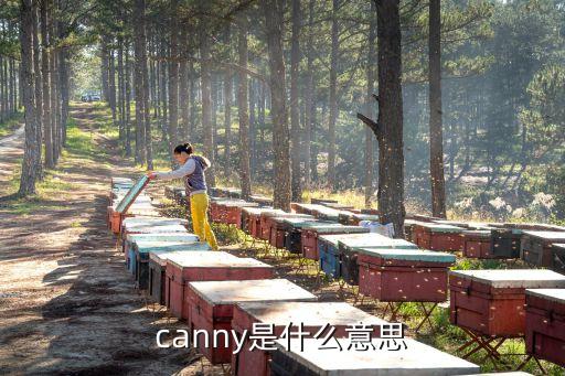 canny是什么意思