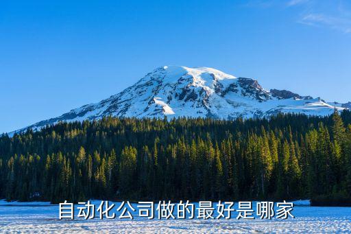 自動(dòng)化公司做的最好是哪家