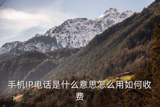 ipphone，基于局域網(wǎng)的ip電話是什么