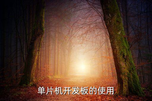 單片機(jī)開發(fā)板的使用