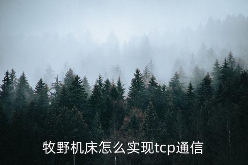 牧野機(jī)床怎么實(shí)現(xiàn)tcp通信