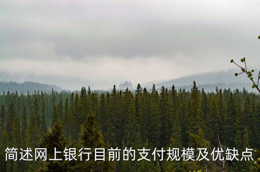 簡(jiǎn)述網(wǎng)上銀行目前的支付規(guī)模及優(yōu)缺點(diǎn)