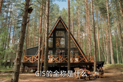 GIS的全稱是什么