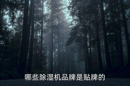 蒙特除濕機(jī)，轉(zhuǎn)輪除濕機(jī)哪個(gè)品牌的比較好蒙特怎么樣