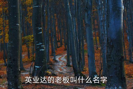 英業(yè)達(dá)的老板叫什么名字