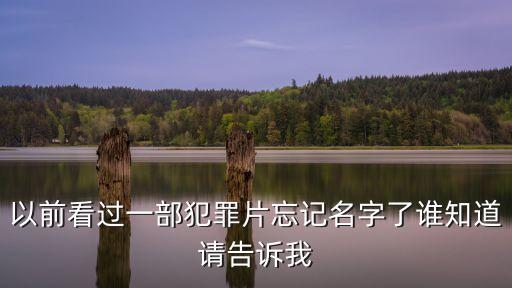 以前看過(guò)一部犯罪片忘記名字了誰(shuí)知道請(qǐng)告訴我