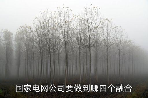 四網(wǎng)融合，大家對(duì)四網(wǎng)融合TDLTETDSCDMAWLANGSM有哪些建議