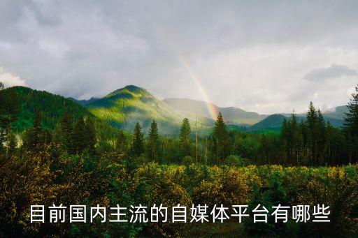 目前國(guó)內(nèi)主流的自媒體平臺(tái)有哪些