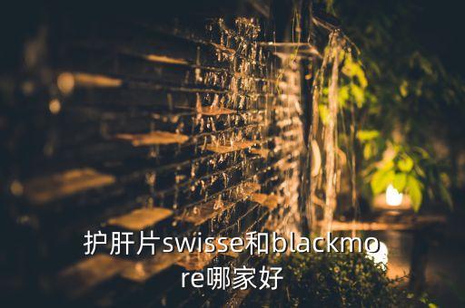 blackmore，BLACKMORES是什么意思