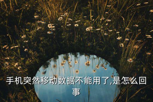移動(dòng)數(shù)據(jù)流量怎么開啟不了,數(shù)據(jù)流量打不開怎么回事?