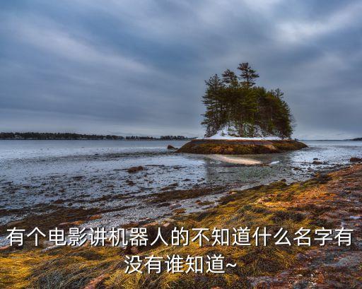 麥吉機(jī)器人廣告女主角,《我的機(jī)器人女友》主角真名叫什么?