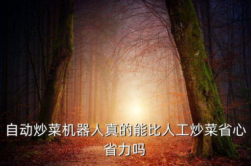 半自動(dòng)化設(shè)備的優(yōu)點(diǎn),汽車半自動(dòng)化裝置有哪些優(yōu)點(diǎn)?
