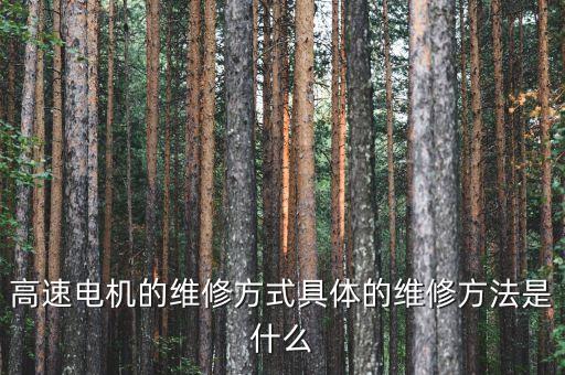 高速電機的維修方式具體的維修方法是什么