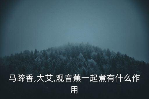 大艾機(jī)器人作用,大小大小艾葉的功效與作用